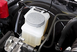 A brake fluid container and filler cap in an engine compartment